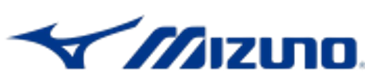 Holicky team logo