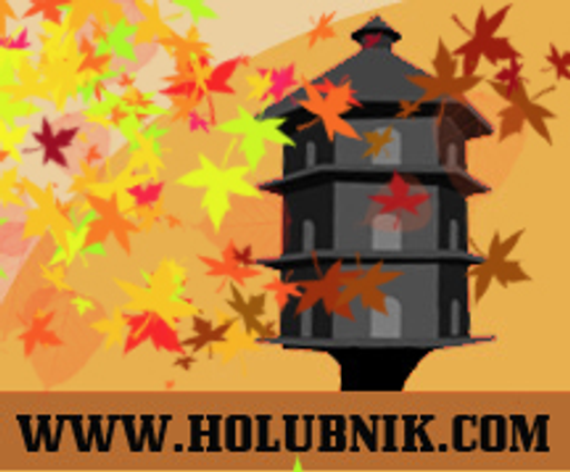 Holubnik.com logo