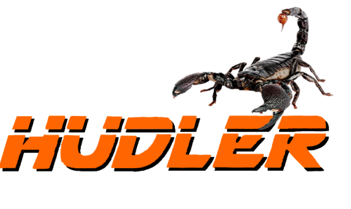 Hudler Scorpion Security logo