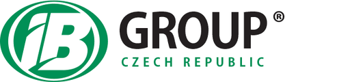IB GROUP logo