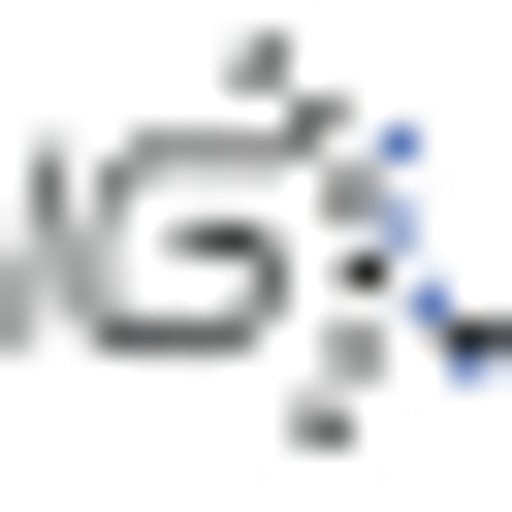 IG SERVICE, s.r.o. logo