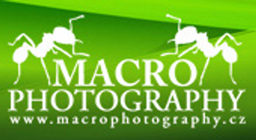 Pavel Krásenský - fotografické služby logo