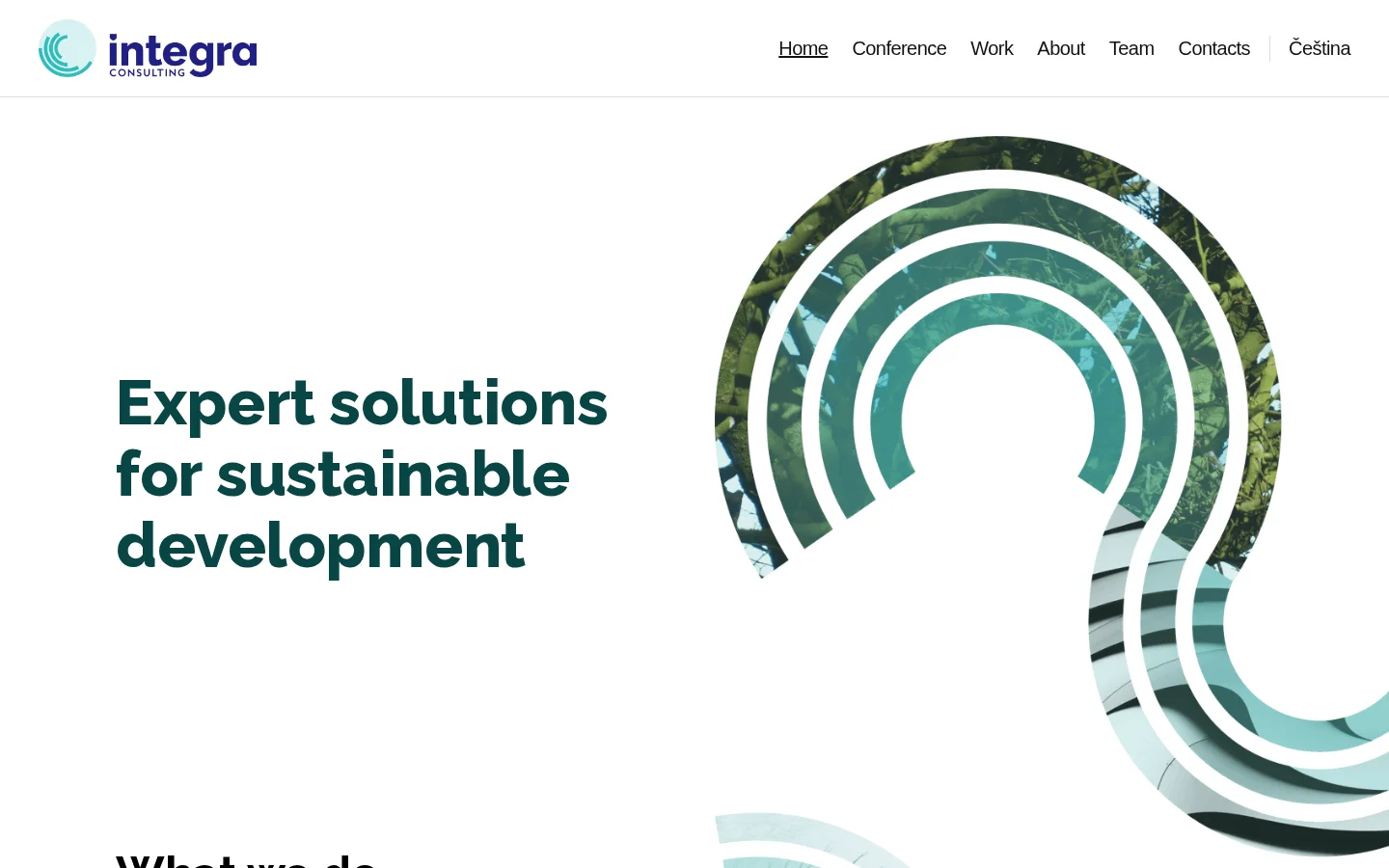 Integra Consulting website