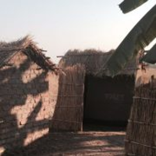International Humanity logo