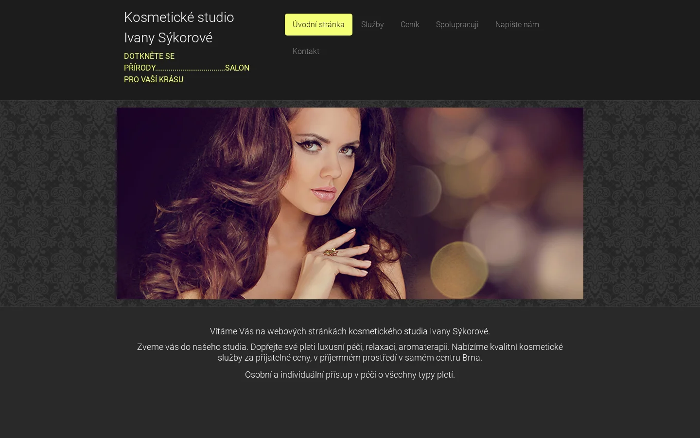 Ivana Sýkorová website