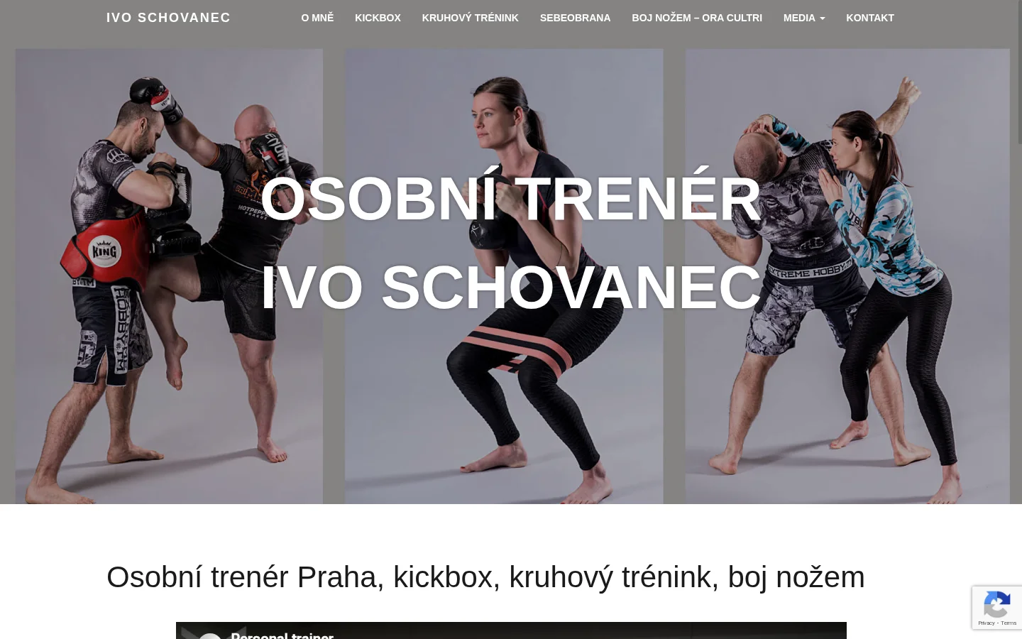 Ivo Schovanec website