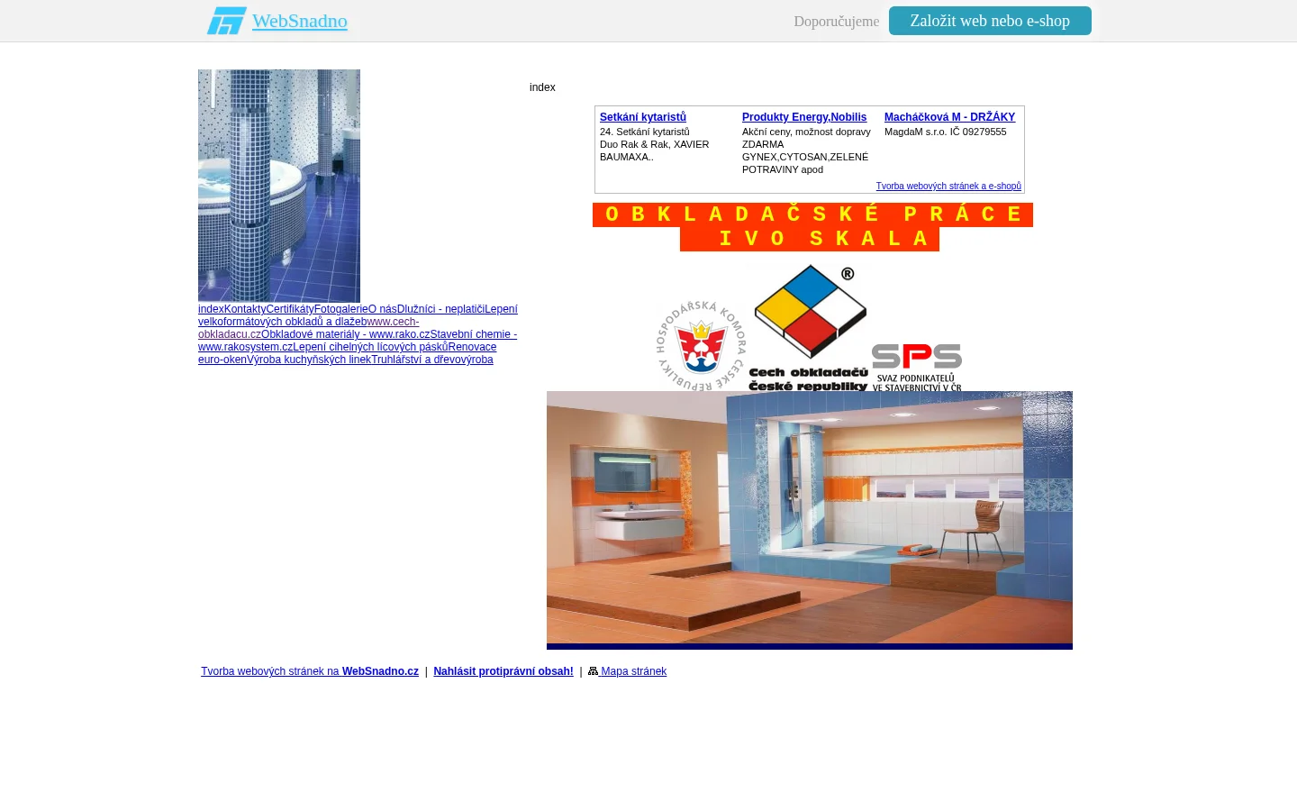 Ivo Skala website