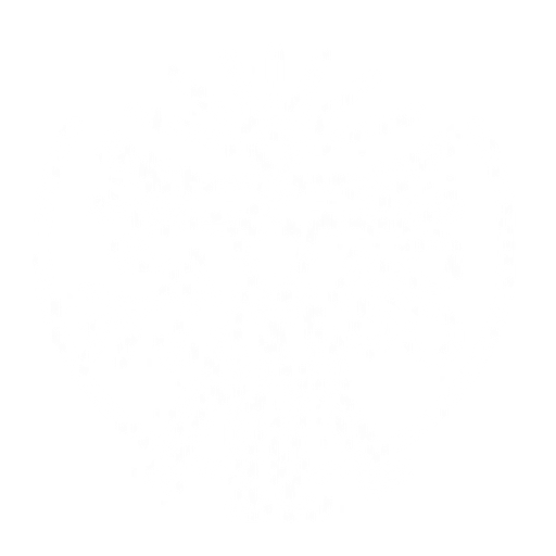 Jakub Chomát kouč a lektor WHM logo