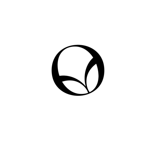 Iyengar jóga Jana Chadimová logo