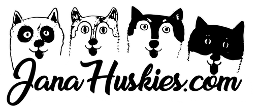 Husky škola logo
