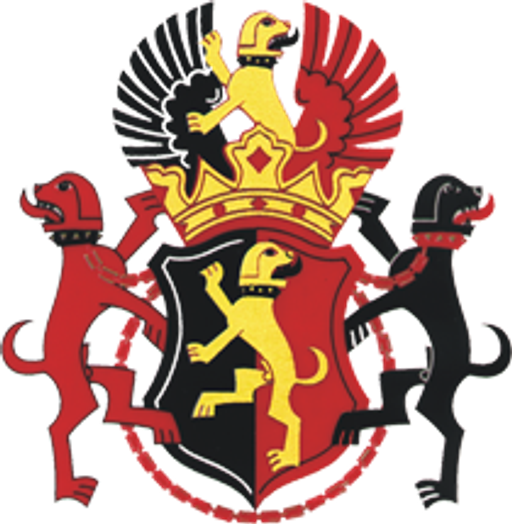 Janko - Elektronické systémy logo
