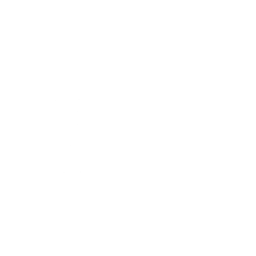 Statek JEDRAŽ logo