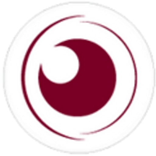 jmoptik logo