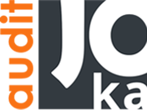 Účetnictví Joka - Audit logo