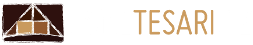 Jsme tesaři.cz logo