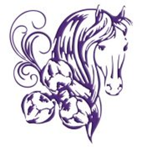 Jezdecká školka Popelka logo