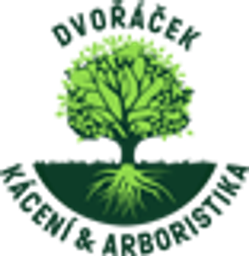 ARBO DVOŘÁČEK logo