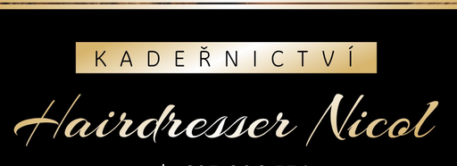 Hairdresser Nicol logo