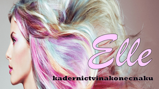 Salon Elle logo