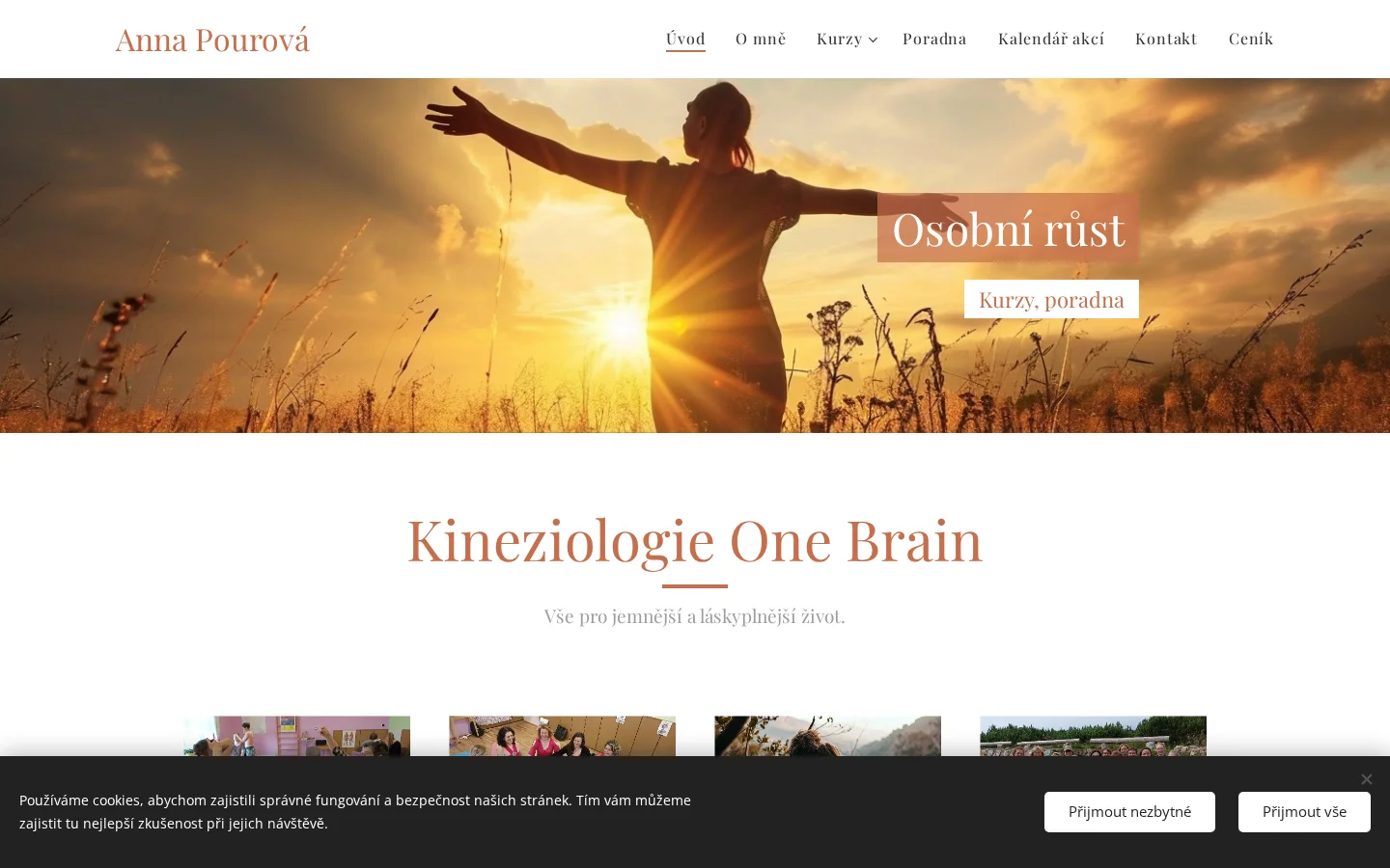 Kineziologie One Brain website