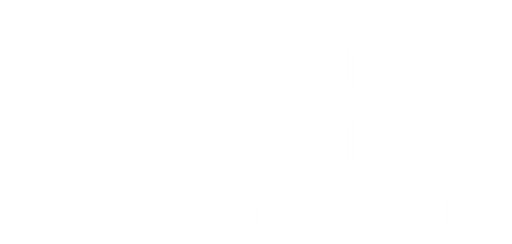 KLEINEIDAM logo
