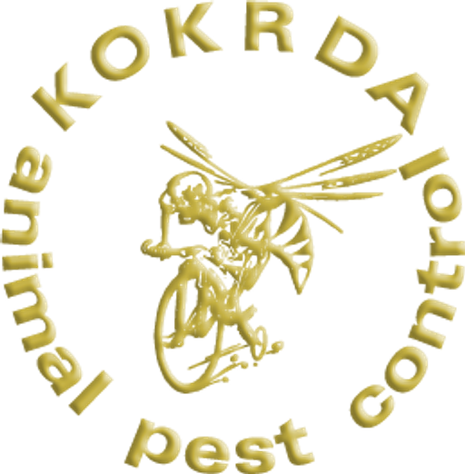 Jiří KOKRDA - DDD, s.r.o. logo