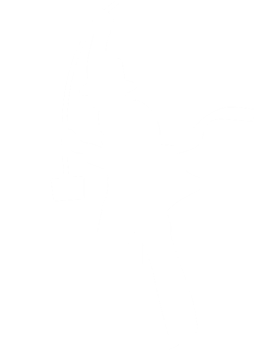 Kominictví Šembera logo