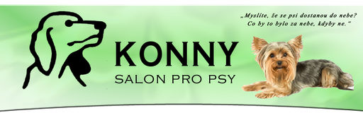 KONNY salon logo