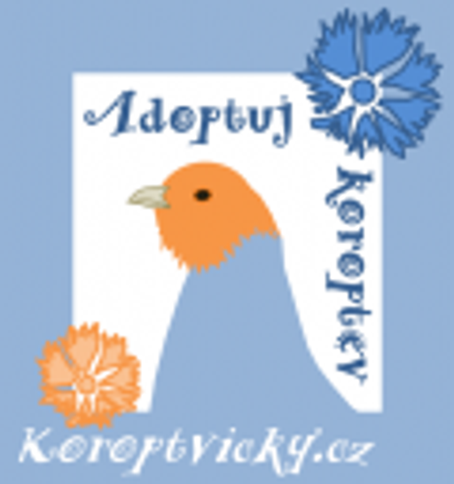 Projekt ČIŘIKÁNÍ logo