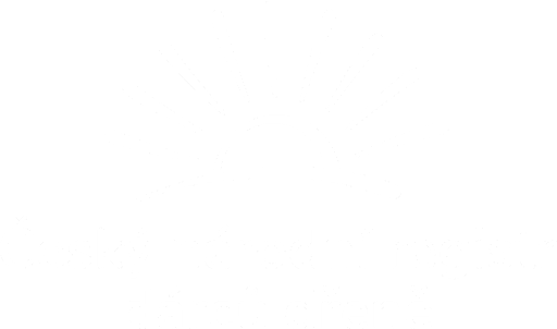 Nadace pro transplantace kostní dřeně logo