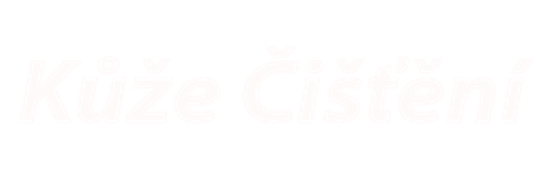 Soňa Bierhanzlová - čištění oděvů a kůže logo