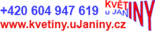 Květiny u Janiny logo