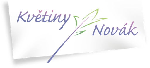 Květiny Novák logo