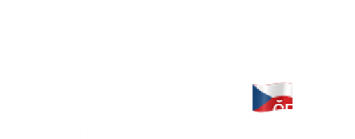 LASER ORIONIS THERAPY logo