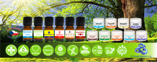 LE Consult Morava logo
