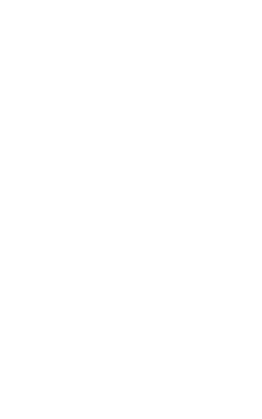Lékárna Na Holandské logo