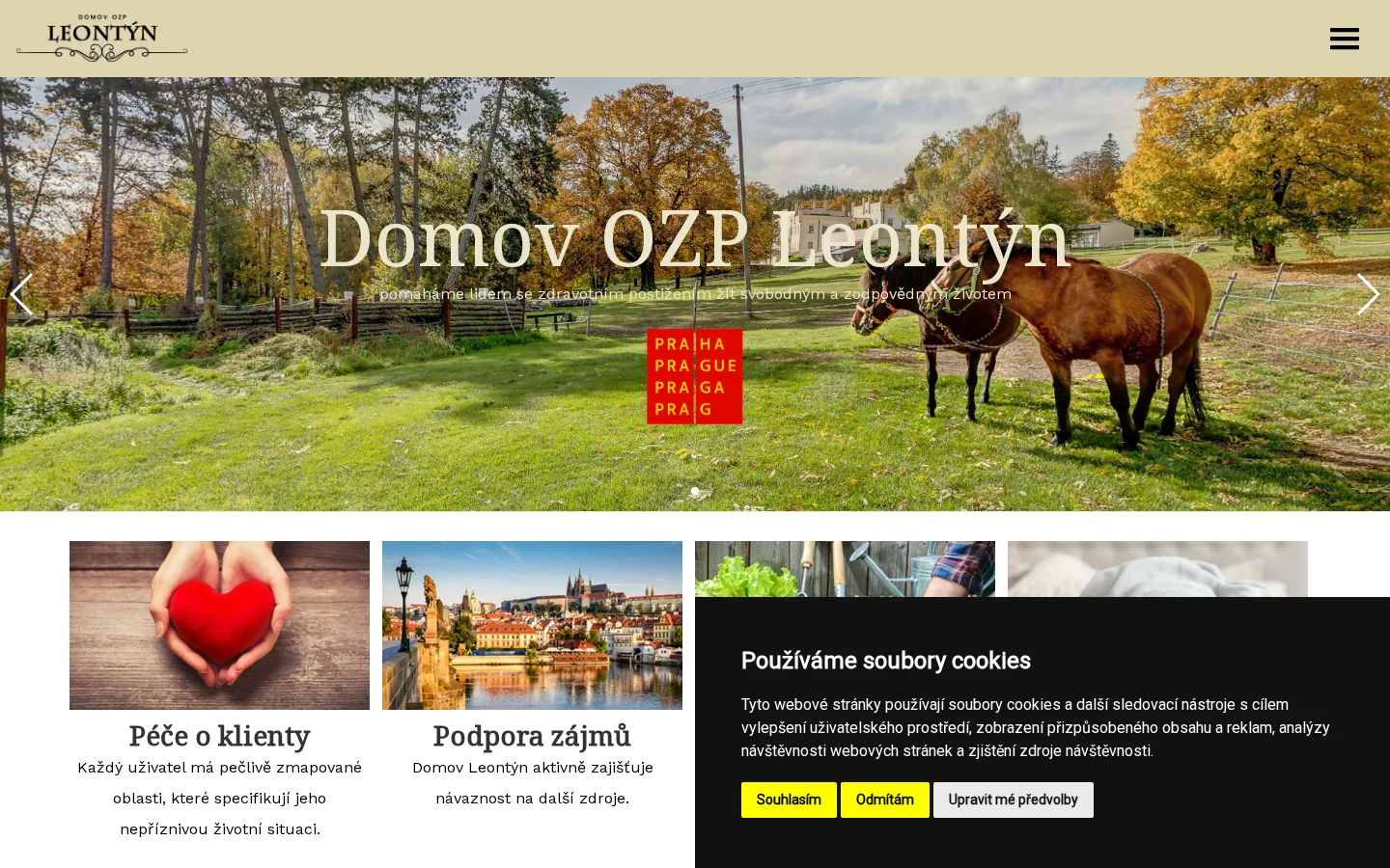 Domov pro osoby se zdravotním postižením Leontýn website