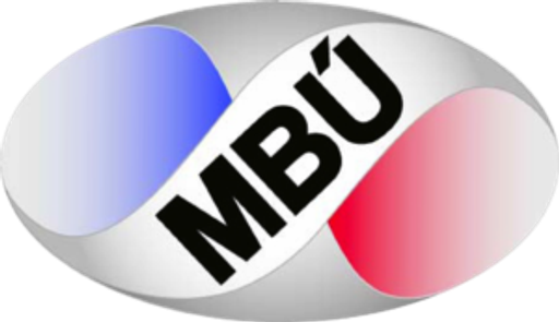 Zámečnictví Leoš Jindra logo
