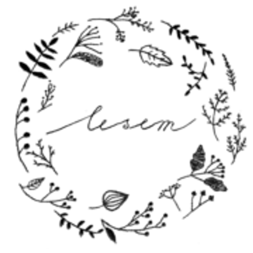 LESEM logo