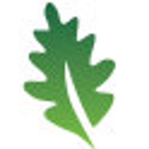 Lesy Florián logo