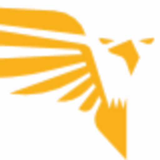 LETECKÁ ŠKOLA VYSOČINA s.r.o. logo
