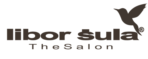 Libor Šula - The Salon logo