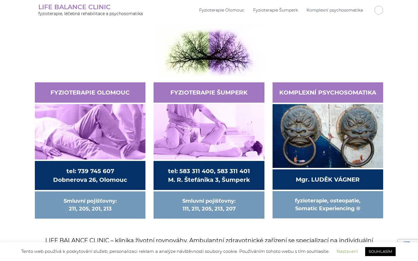 Life balance clinic website