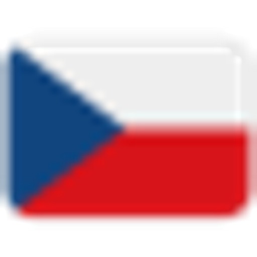 Anna Likinová - Překladatelské služby logo