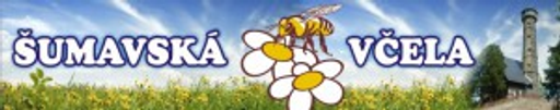 LINAKO Klatovy logo