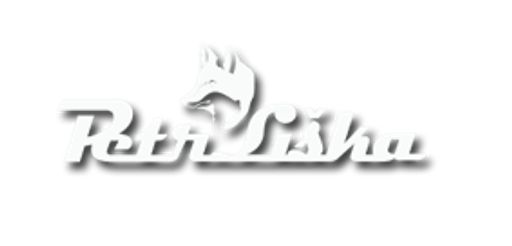 Dodávková doprava - Petr Liška logo