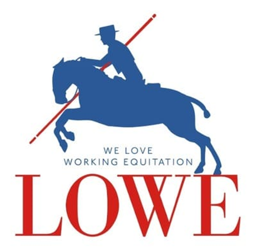 LOWE events logo