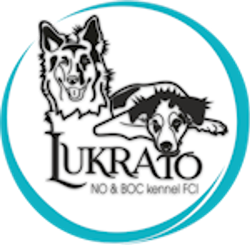 Lucie Kraitlová - reaiitní makléř logo