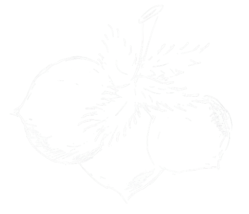 M-POPELKA, s.r.o. logo