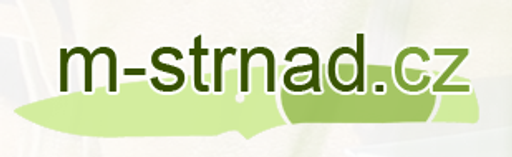 Michal Strnad logo